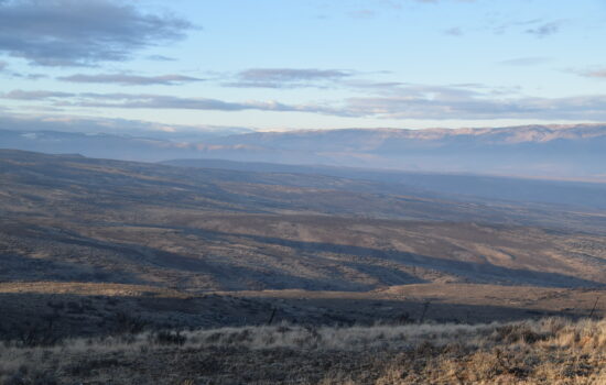 Breathtaking 60 Acres with panoramic views on Cowiche Mountain near Elk feeding grounds in Yakima, WA