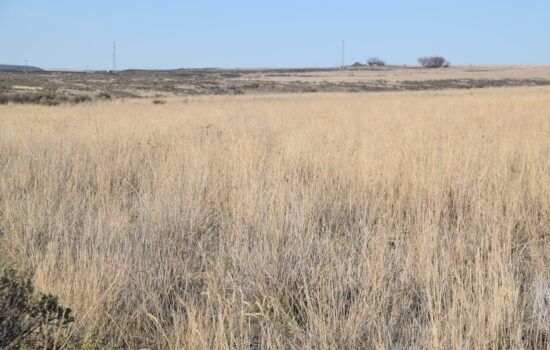 Off-grid ready 40 acres bordering state land near Moses Lake, WA.