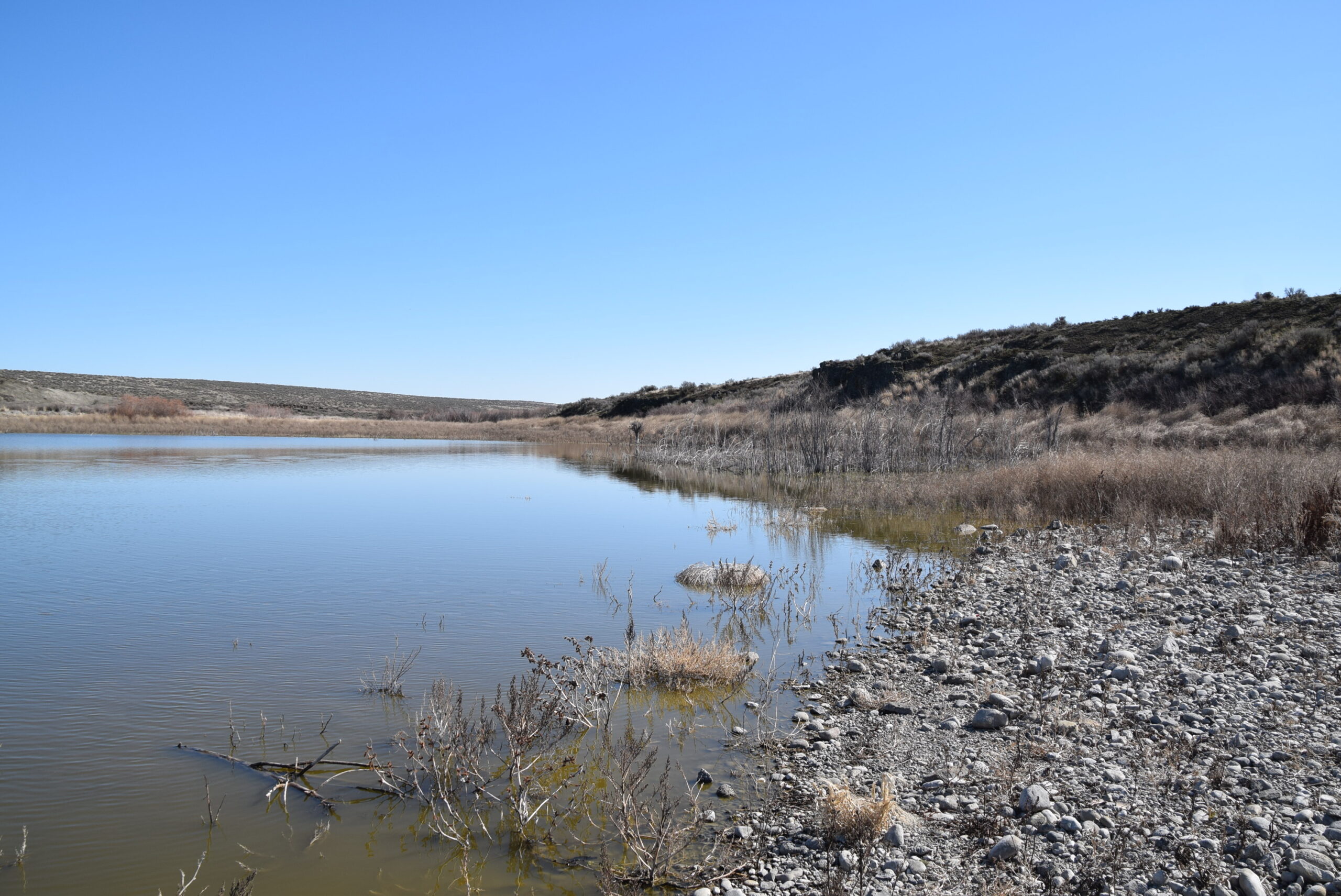 Amazing 40 acre off-grid oasis surrounded by lakes, wildlife and state land near Soap Lake, WA.