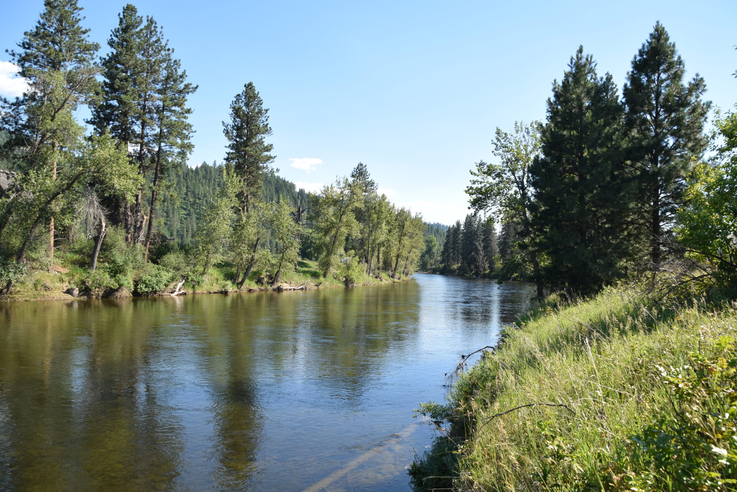 Heavenly river frontage with nearly 8 acres on beautiful Kettle River.