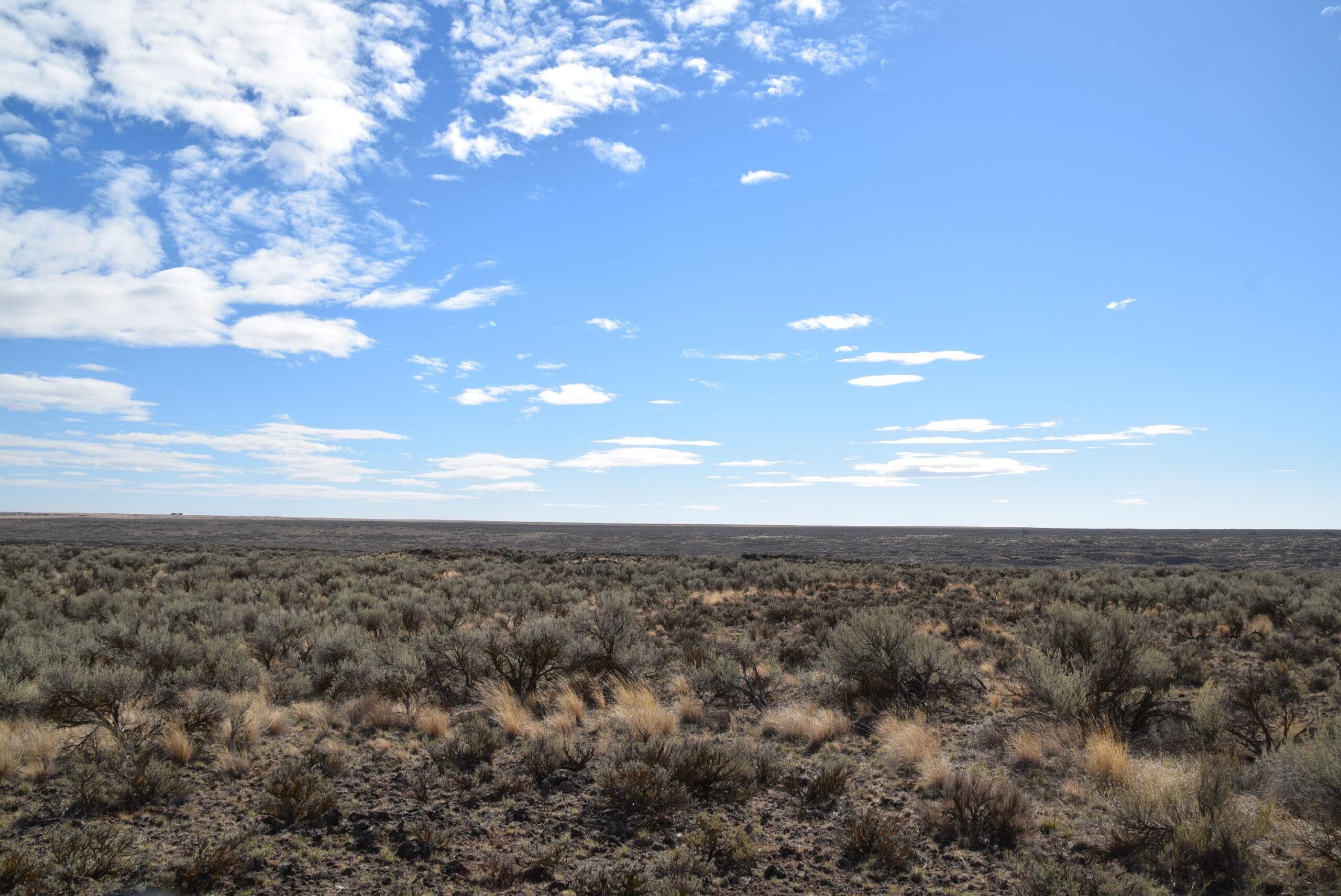 A full 40 acres of views and beautiful rural landscapes near Moses Lake, WA.