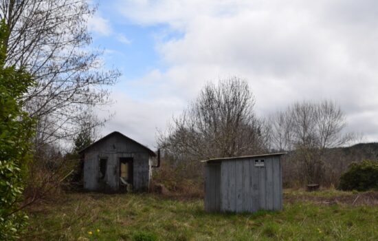 Out of the way retreat with fixer cabin, power and well in place. Near forests and ocean in Pacific County, WA.