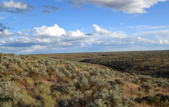 Wide open off-grid 43 acres for your quiet rural retreat near Moses Lake, WA.