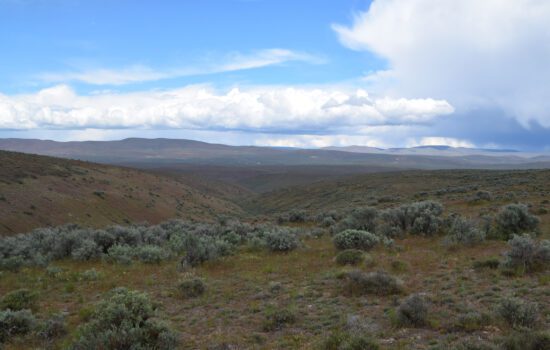 Spectacular views on 15 private hilltop acres near Yakima and Ellensburg, WA.