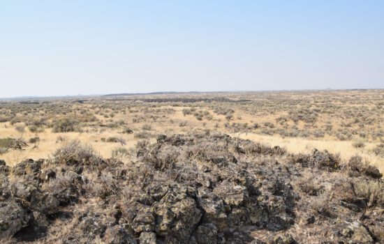 Very private 40 acres of no-restriction land near Moses Lake, WA surrounded by hundreds of acres of public lands for endless outdoor activities.