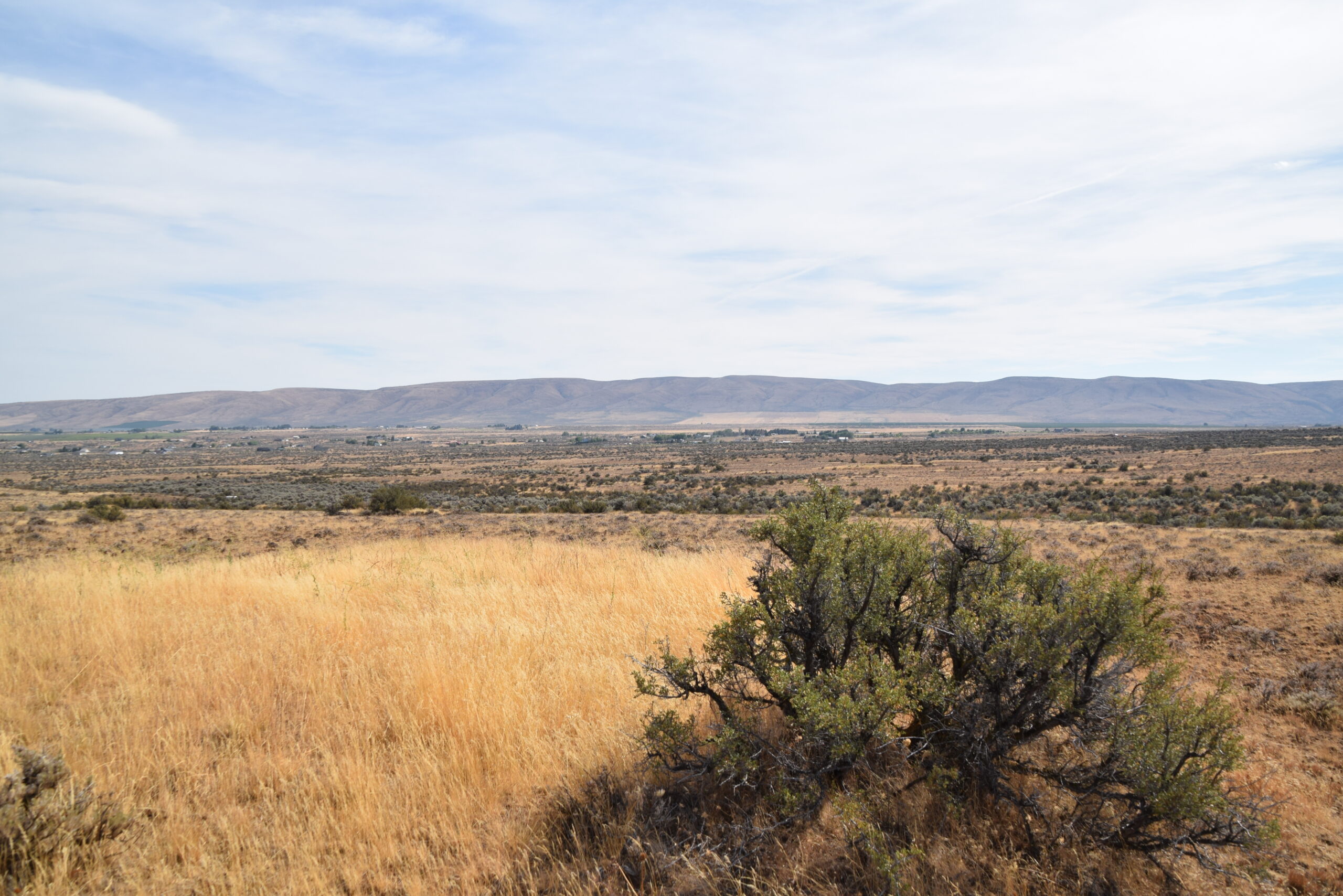 Private 10 acres of vacant land bordering state forest land in Yakima, WA.